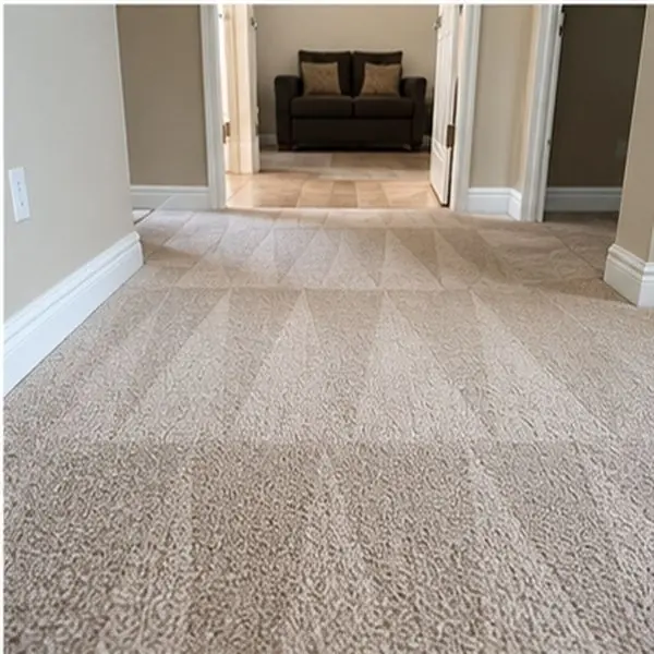 Carpet cleaning results in Footscray VIC